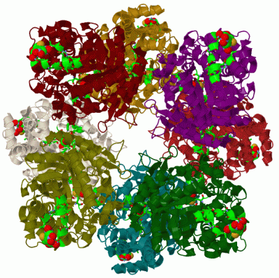 Image Biol.Unit 1 - manually