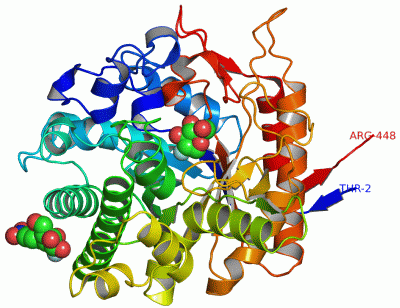 Image Asym.Unit - manually