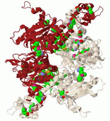 Image Biol.Unit 1 - manually