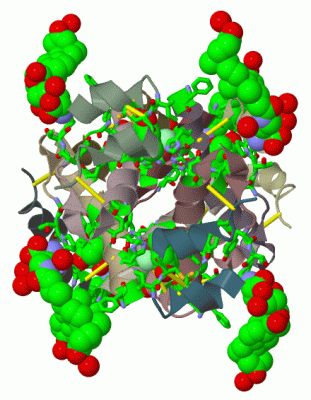 Image Biol.Unit 1 - manually