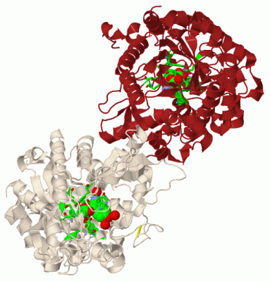 Image Biol.Unit 1 - manually