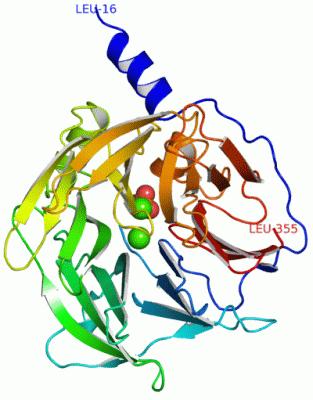 Image Asym./Biol. Unit - manually