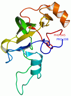 Image NMR Structure - manually