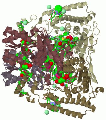 Image Biol.Unit 1 - manually