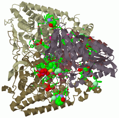 Image Biol.Unit 1 - manually