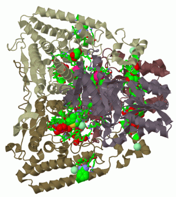 Image Biol.Unit 1 - manually