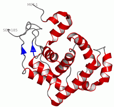 Image Theor.Model - manually