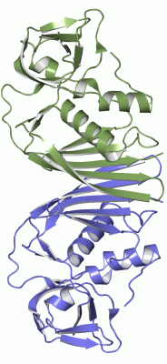 Image Asym./Biol. Unit - manually