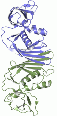 Image Asym./Biol. Unit - manually