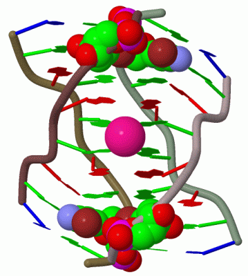 Image Biol.Unit 1 - manually