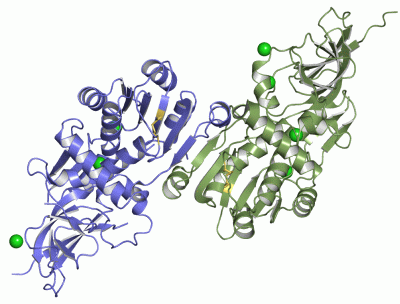 Image Asym./Biol. Unit - manually