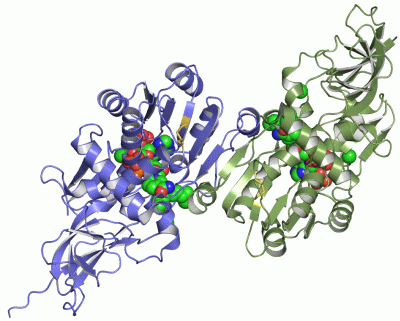 Image Asym./Biol. Unit - manually