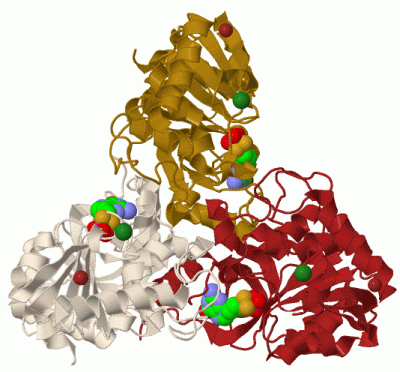Image Biol.Unit 1 - manually