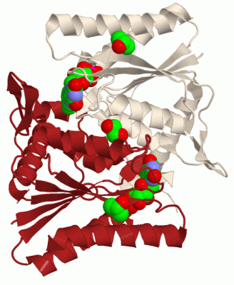 Image Biol.Unit 1 - manually