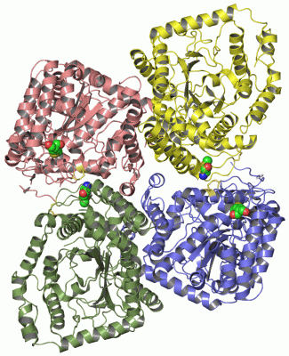 Image Asym./Biol. Unit - manually