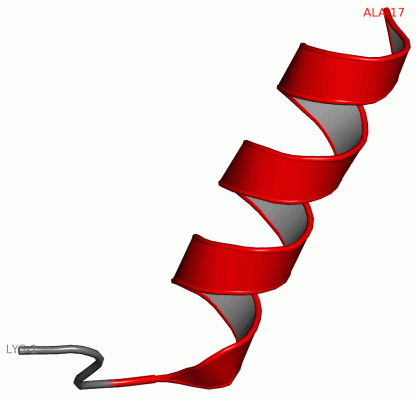 Image NMR Structure - manually