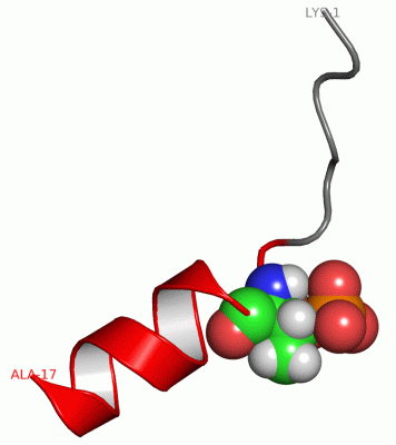 Image NMR Structure - manually