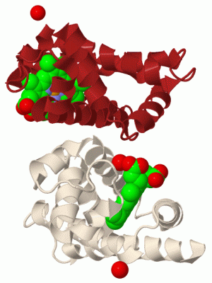 Image Biol.Unit 1 - manually