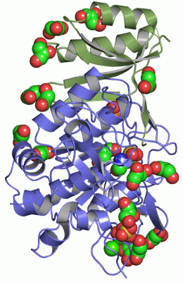 Image Asym./Biol. Unit - manually