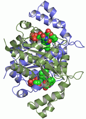 Image Asym./Biol. Unit - manually