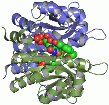 Image Asym./Biol. Unit - manually