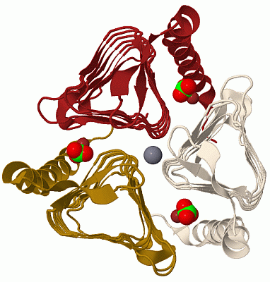 Image Biol.Unit 1 - manually