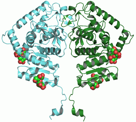 Image Asym.Unit - manually