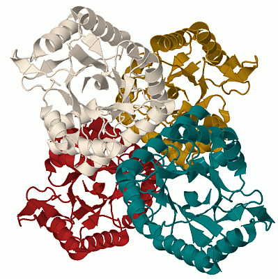 Image Biol.Unit 1 - manually