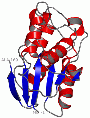 Image Asym./Biol. Unit - manually