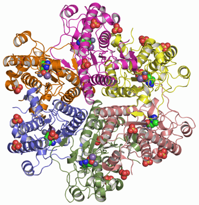 Image Asym./Biol. Unit - manually