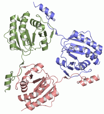 Image Asym.Unit - manually