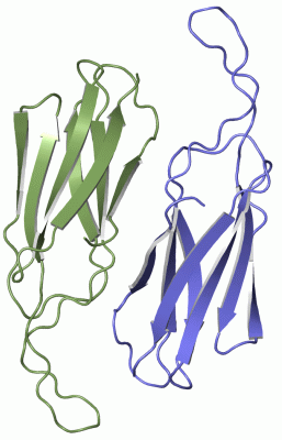 Image Asym./Biol. Unit - manually