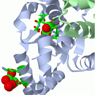 Image Asym./Biol. Unit - manually