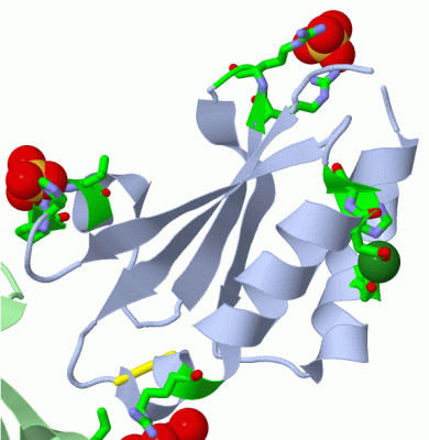 Image Asym.Unit - manually