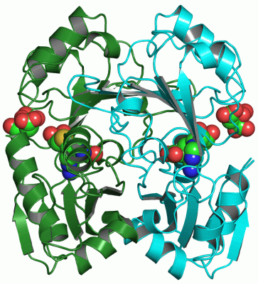 Image Asym./Biol. Unit - manually