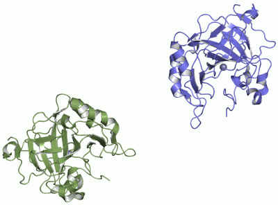 Image Asym.Unit - manually