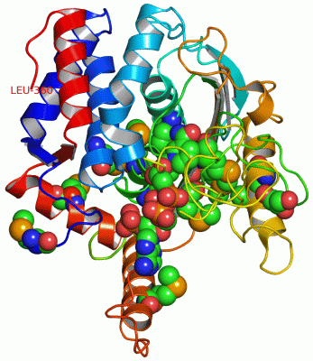 Image Asym.Unit - manually