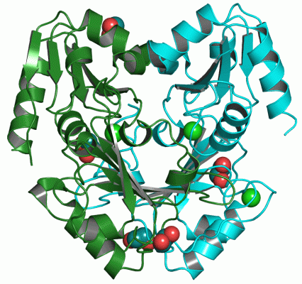 Image Asym./Biol. Unit - manually