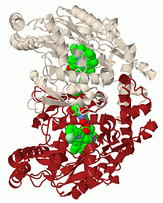 Image Biol.Unit 1 - manually