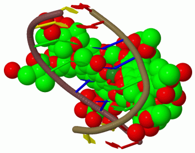 Image Biol.Unit 1 - manually