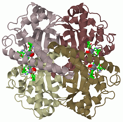 Image Biol.Unit 1 - manually