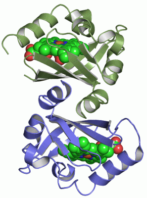 Image Asym./Biol. Unit - manually