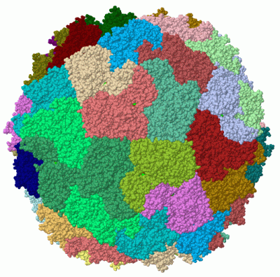 Image Biol.Unit 1 - manually