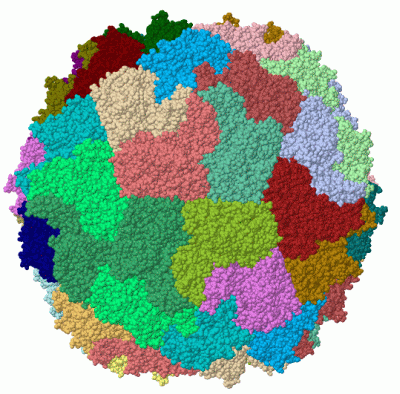 Image Biol.Unit 1 - manually