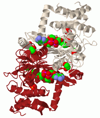 Image Biol.Unit 1 - manually