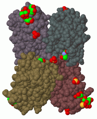 Image Biol.Unit 1 - manually