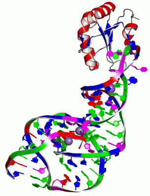 Image Asym./Biol. Unit - manually