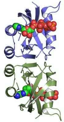 Image Asym.Unit - manually