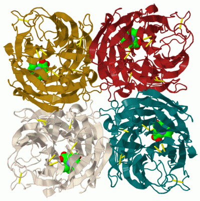 Image Biol.Unit 1 - manually