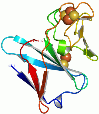 Image Asym./Biol. Unit - manually